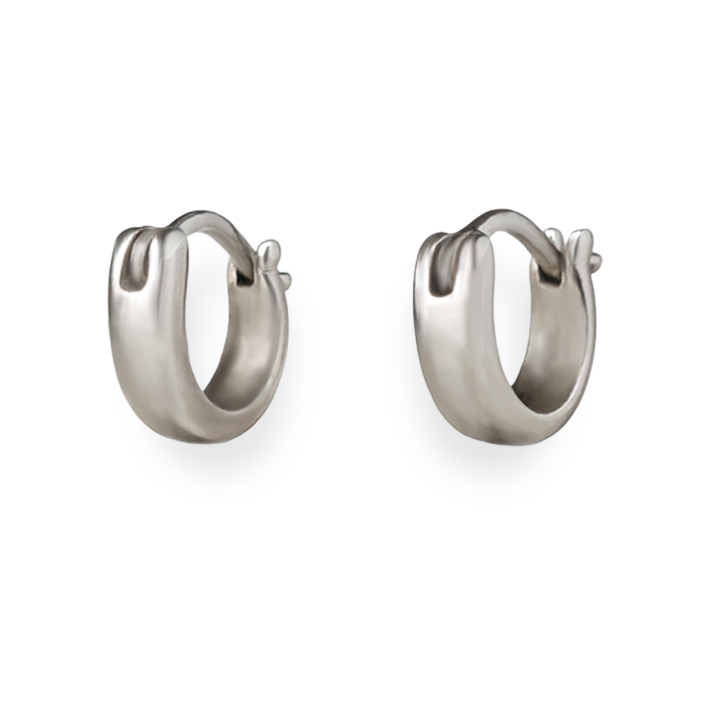 Small Hoop Earrings